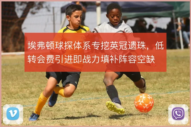 埃弗顿球探体系专挖英冠遗珠，低转会费引进即战力填补阵容空缺