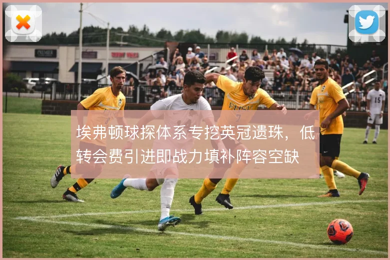 埃弗顿球探体系专挖英冠遗珠，低转会费引进即战力填补阵容空缺